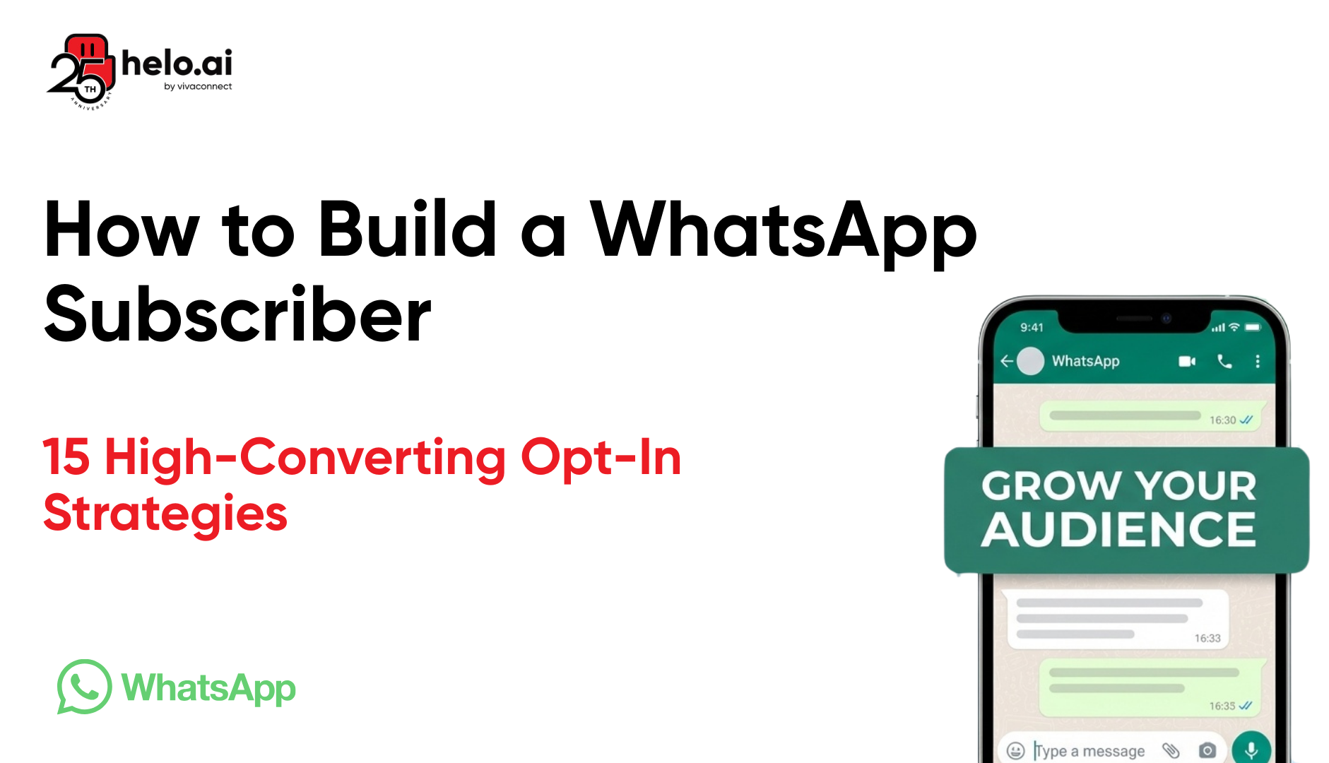 WhatsApp Subscriber grow
